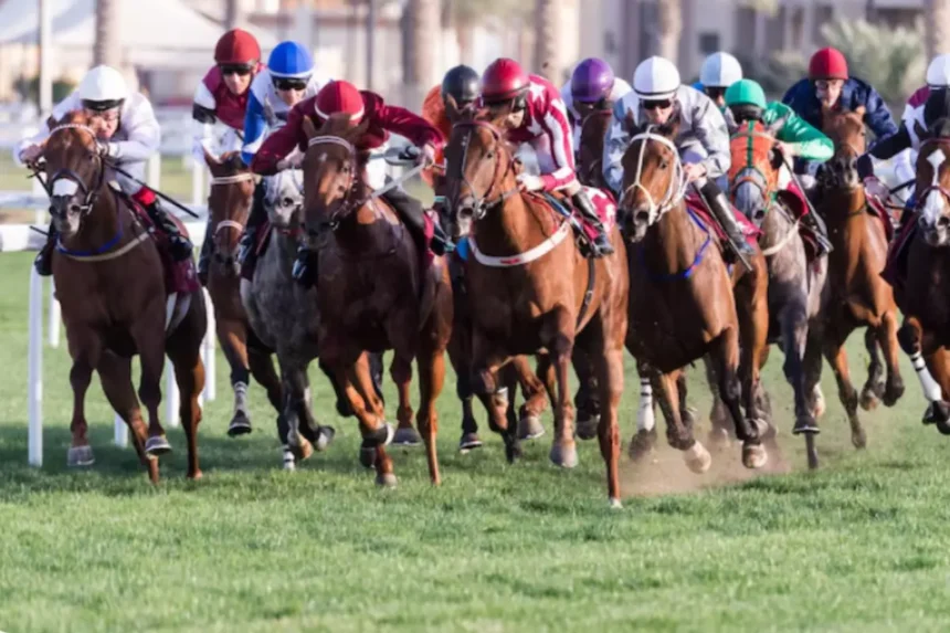 The Dubai World Cup Turns 30, Tickets Starting from Dh40