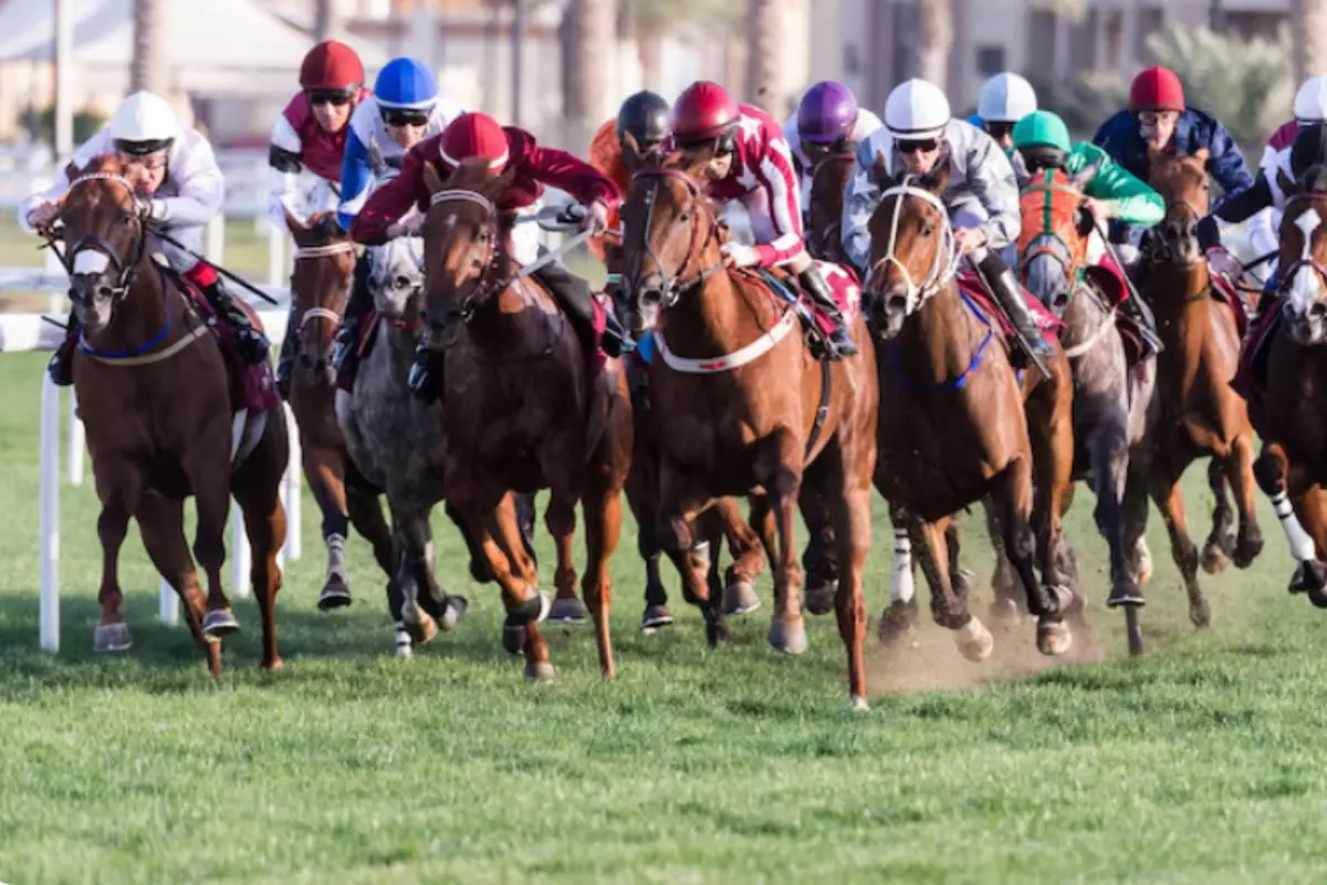 The Dubai World Cup Turns 30, Tickets Starting from Dh40