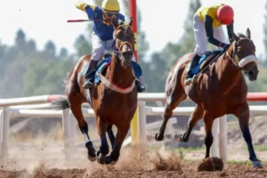 Dubai World Cup 2026 Explodes with Tickets Flying Off the Shelves