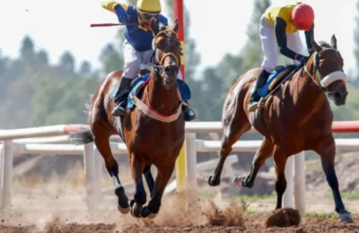 Dubai World Cup 2026 Explodes with Tickets Flying Off the Shelves