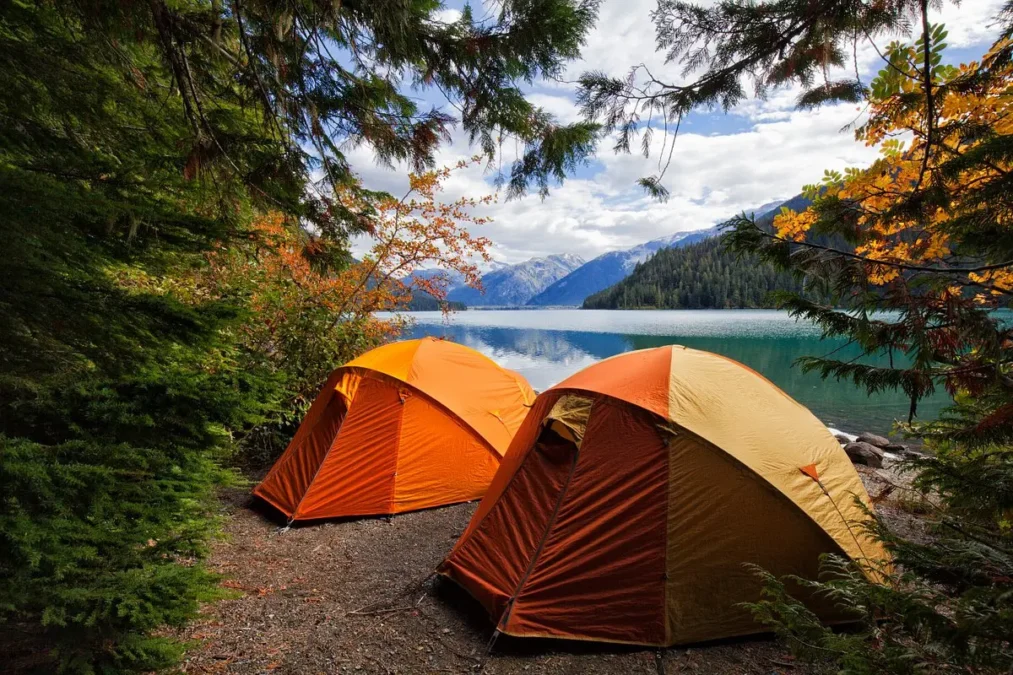 Best camping places in dubai for families times of dubai