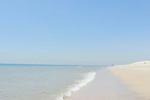 Turning UAE Desert Air into Water with New MOF Technology