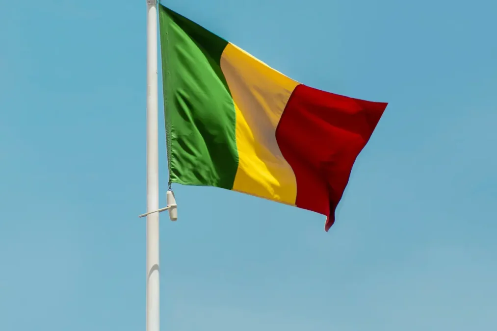 Uae travel ban to mali asks the citizens to go back times of dubai