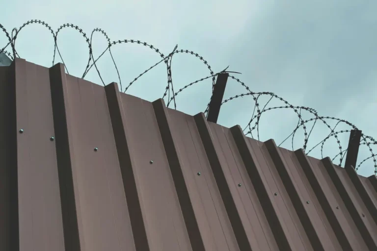 Saudi Deported Indians in 2025: Breaking Down the MEA Report and Major Reasons for Expulsion