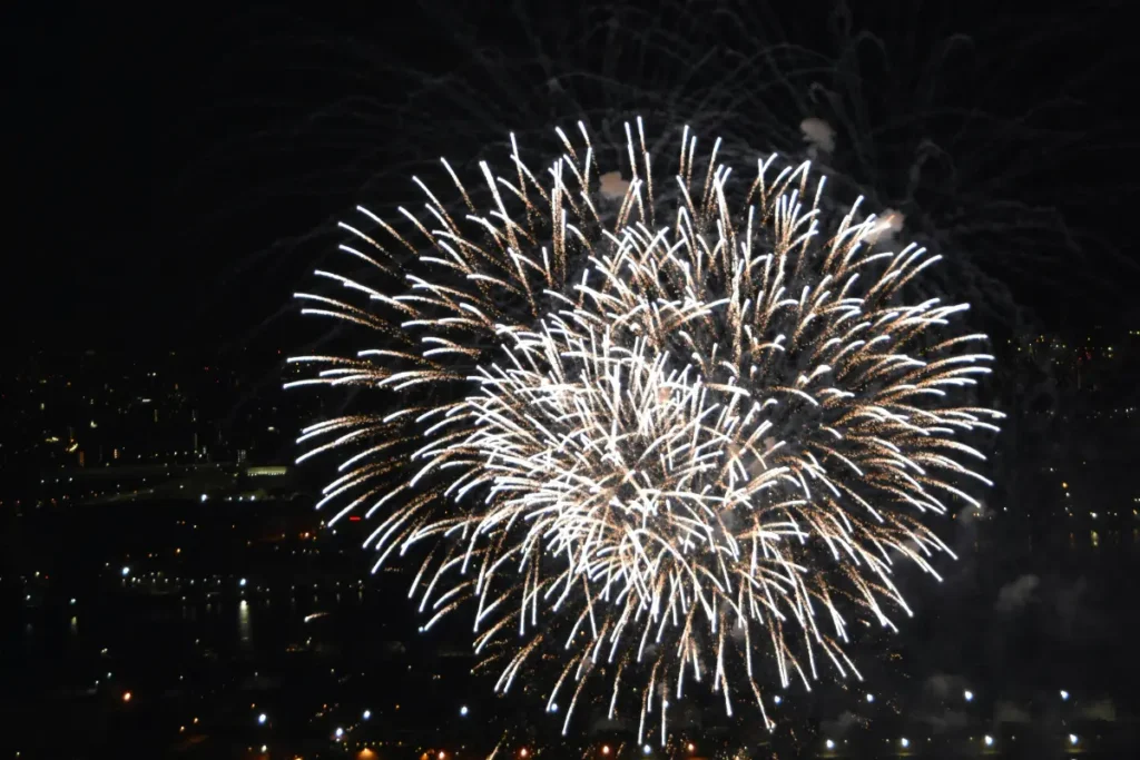 8 Day New Year Eve in Dubai Comes Alive
