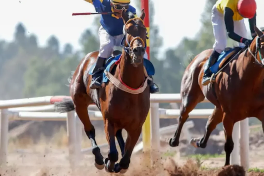 The Dubai World Cup Turns 30, Tickets Starting from Dh40
