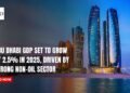 Abu Dhabi GDP Set to Grow by 2.5% in 2025, Driven by Strong Non-Oil Sector