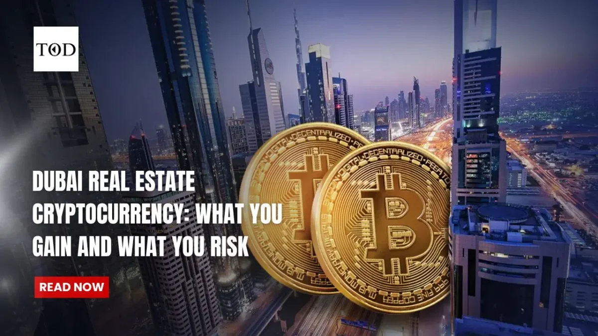 Dubai real estate cryptocurrency what you gain and what you risk times of dubai