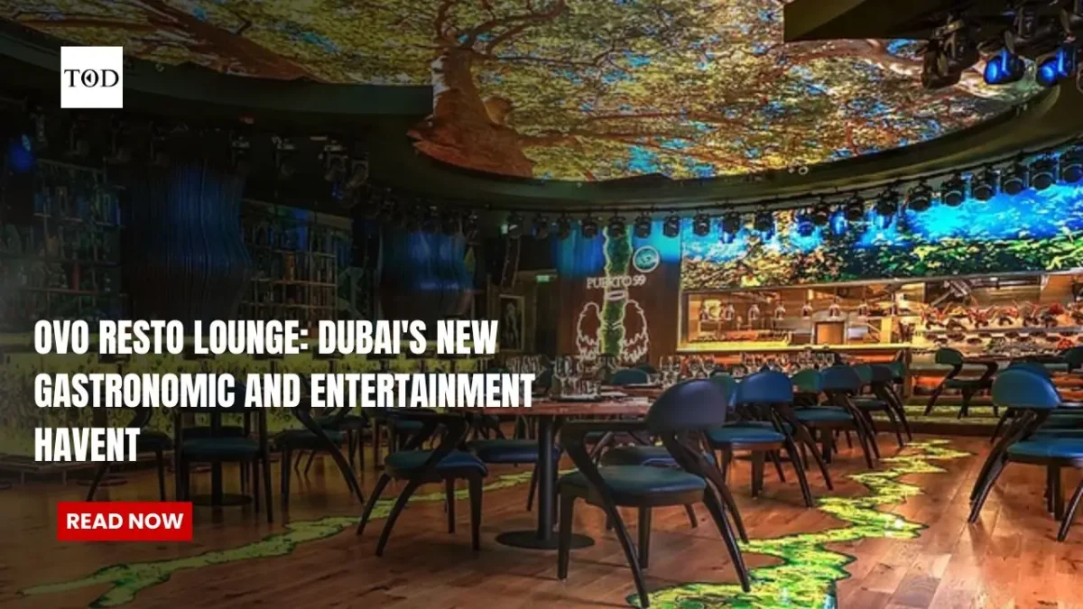 Ovo resto lounge dubais new gastronomic and entertainment haven times of dubai