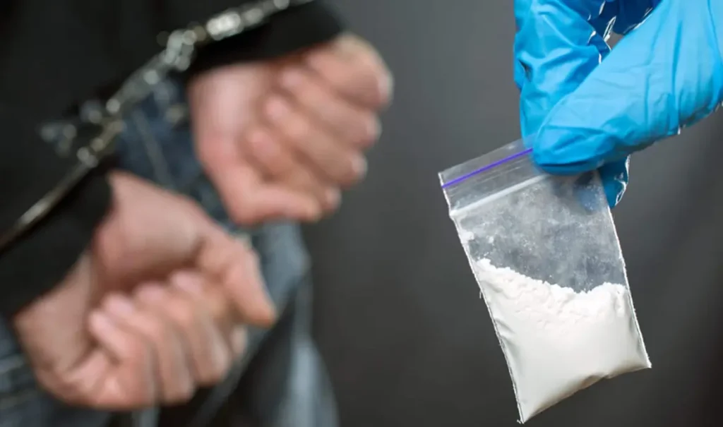 Dubai Drug Smuggling Case: Asian Passenger Jailed, Hit with Dh100,000 Fine 10 Dubai Drug Smuggling Case