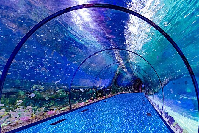 6e Times of Dubai