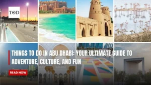Things to Do in Abu Dhabi: Your Ultimate Guide to Adventure, Culture, and Fun