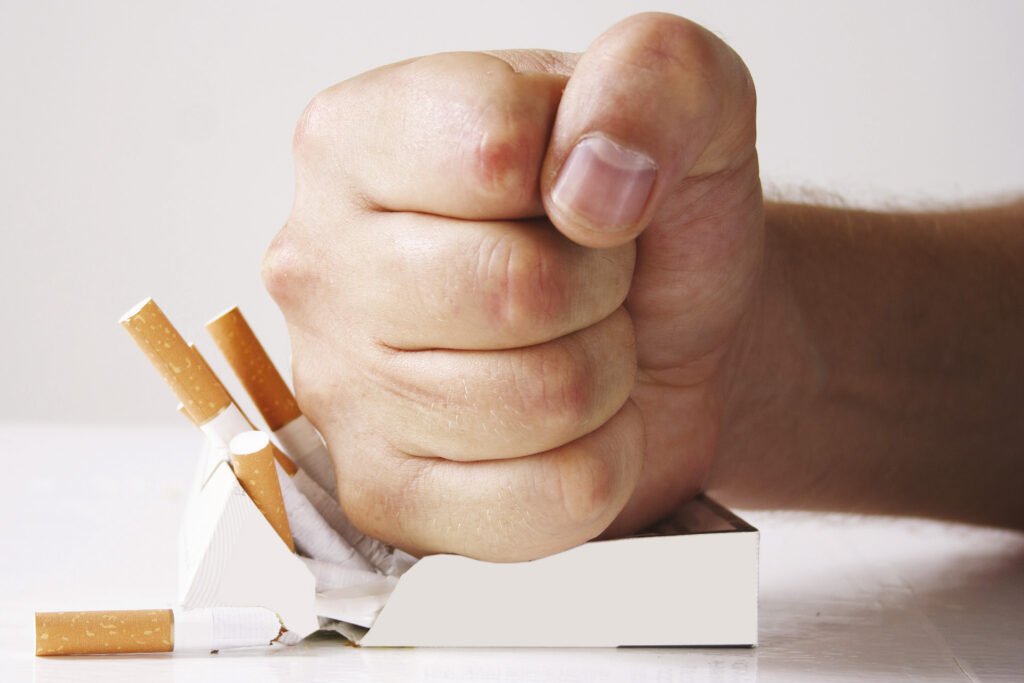 UAE Approves Tobacco-Free Nicotine Pouches to Help Smokers Quit Cigarettes 2 UAE Approves Tobacco-Free Nicotine Pouches to Help Smokers Quit Cigarettes