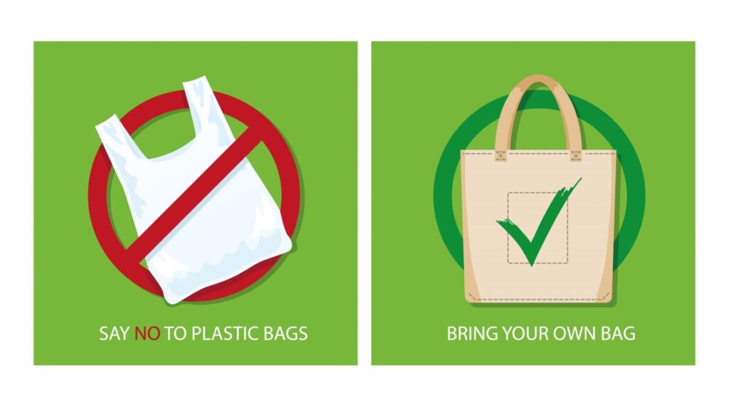 Plastic products ban in UAE: Major single-use plastics to be fully banned by 2026