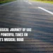 A New Musical Journey Of UAE Drivers Powerful Tunes On Fujairah’s Musical Road