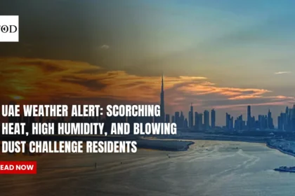 UAE Weather Alert: Scorching Heat, High Humidity, and Blowing Dust Challenge Residents