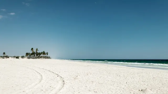 arisa s vl TWewCTfA unsplash Times of Dubai