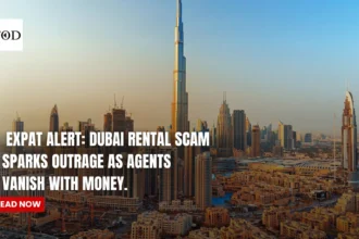 Expat alert dubai rental scam sparks outrage agents vanish times of dubai