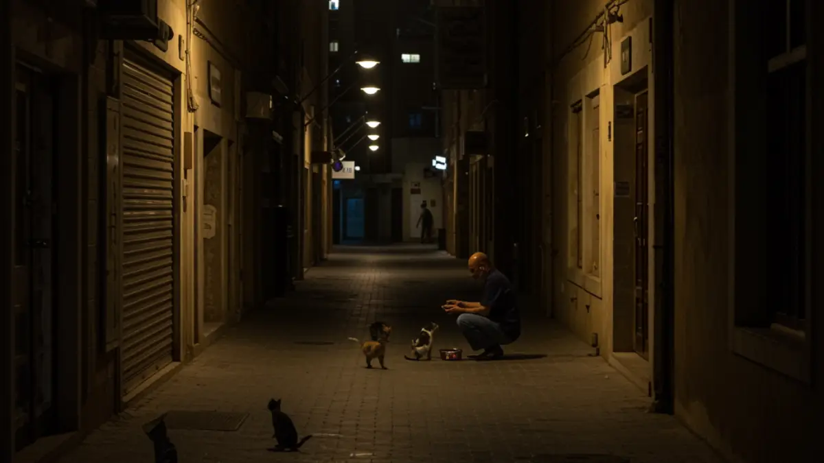 Quiet Guardian of Al Quoz: Feeding Hope for Stray Cats in Dubai