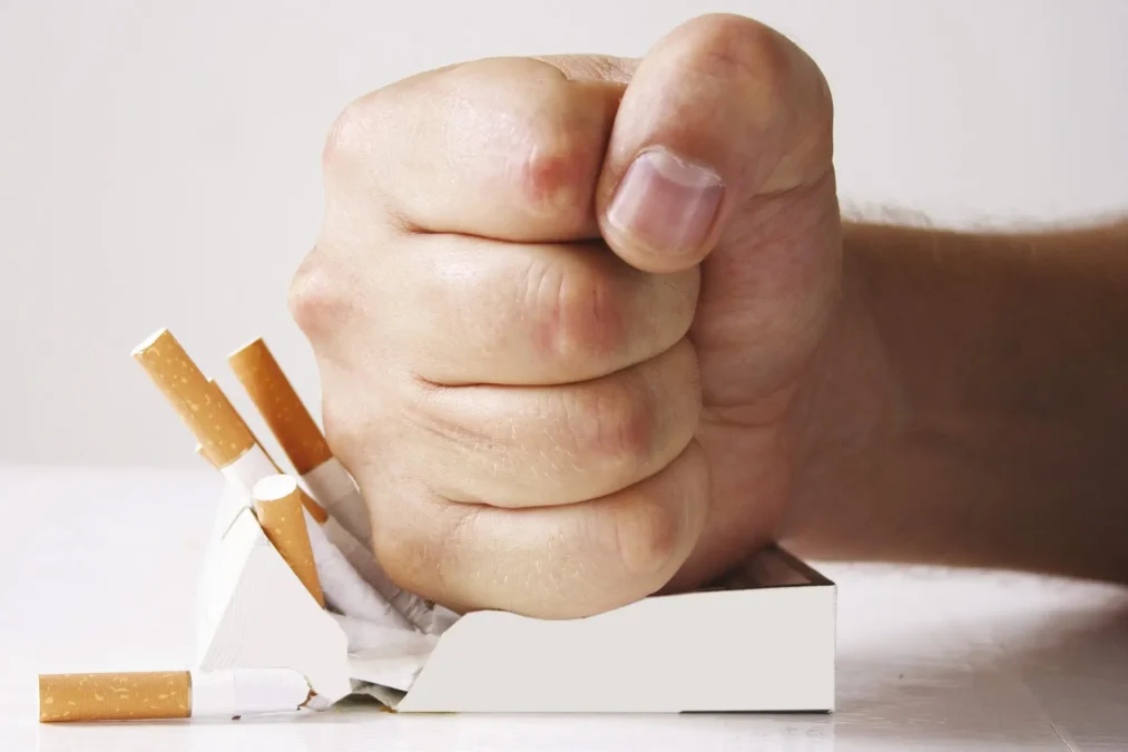 UAE Approves Tobacco-Free Nicotine Pouches to Help Smokers Quit Cigarettes