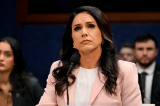 Tulsi gabbard times of dubai