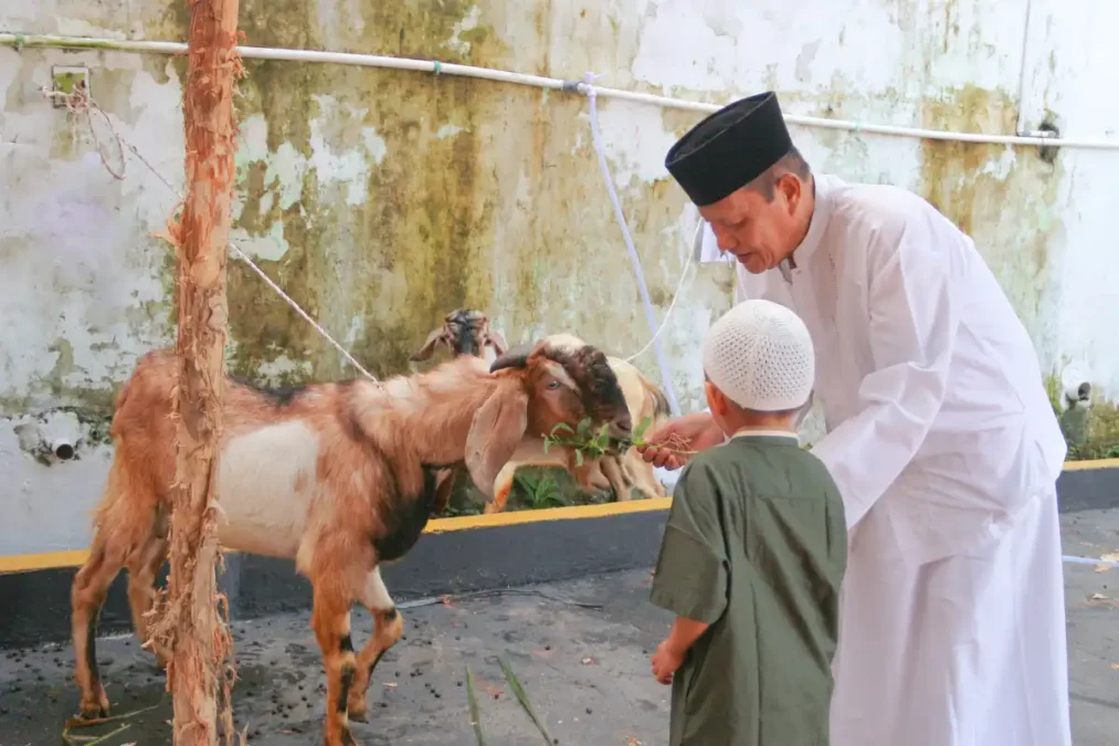 image - Times of Dubai Eid al adha activities in dubai times of dubai
