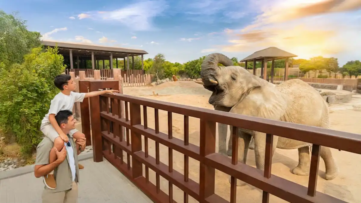 safari park - Times of Dubai Dubais outdoor attractions safari park times of dubai