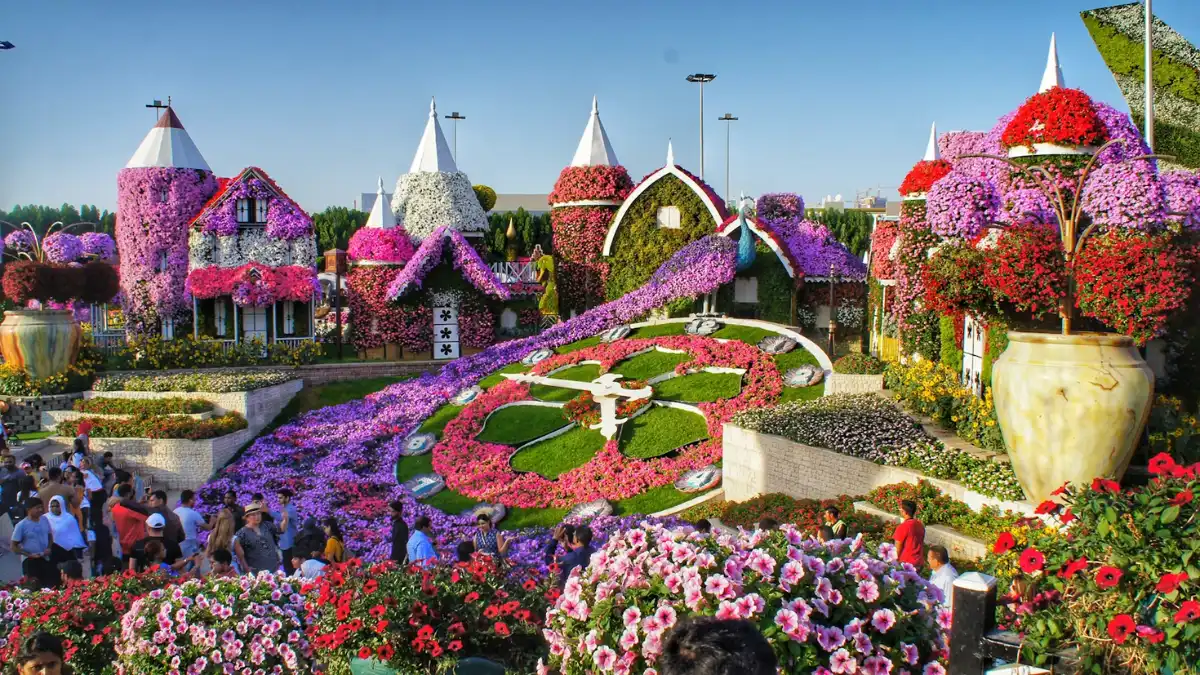 miracle garden - Times of Dubai Dubai times of dubai's outdoor attractions - miracle garden