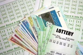 Uaes lottery market driver wins the big ticket abu dhabi times of dubai