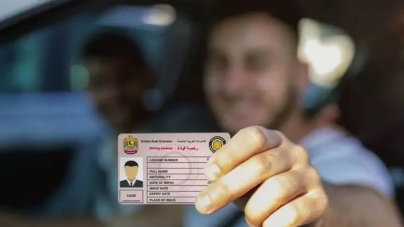UAE Driving Licence