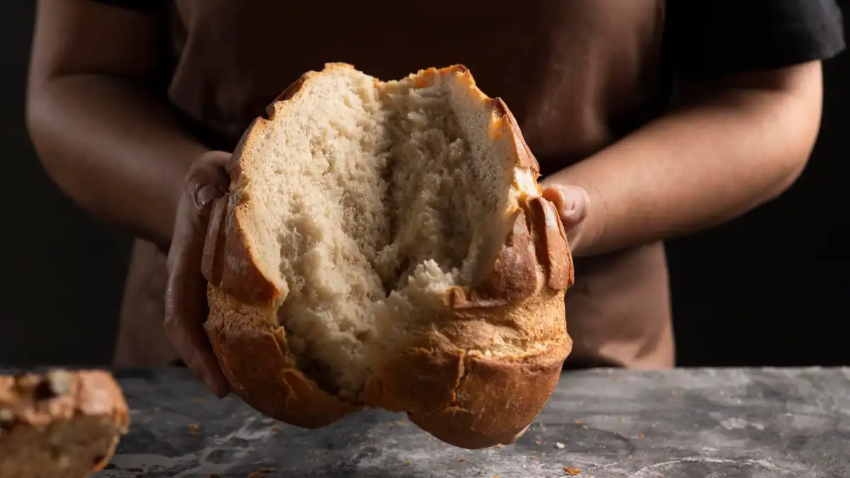 image - Times of Dubai Bread for all initiative a simple loaf a big difference times of dubai