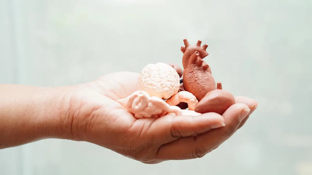 Organ Donation in the UAE - Times of Dubai Organ donation in the uae times of dubai