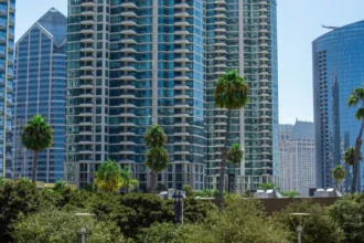Rent now pay later in dubai initiative times of dubai