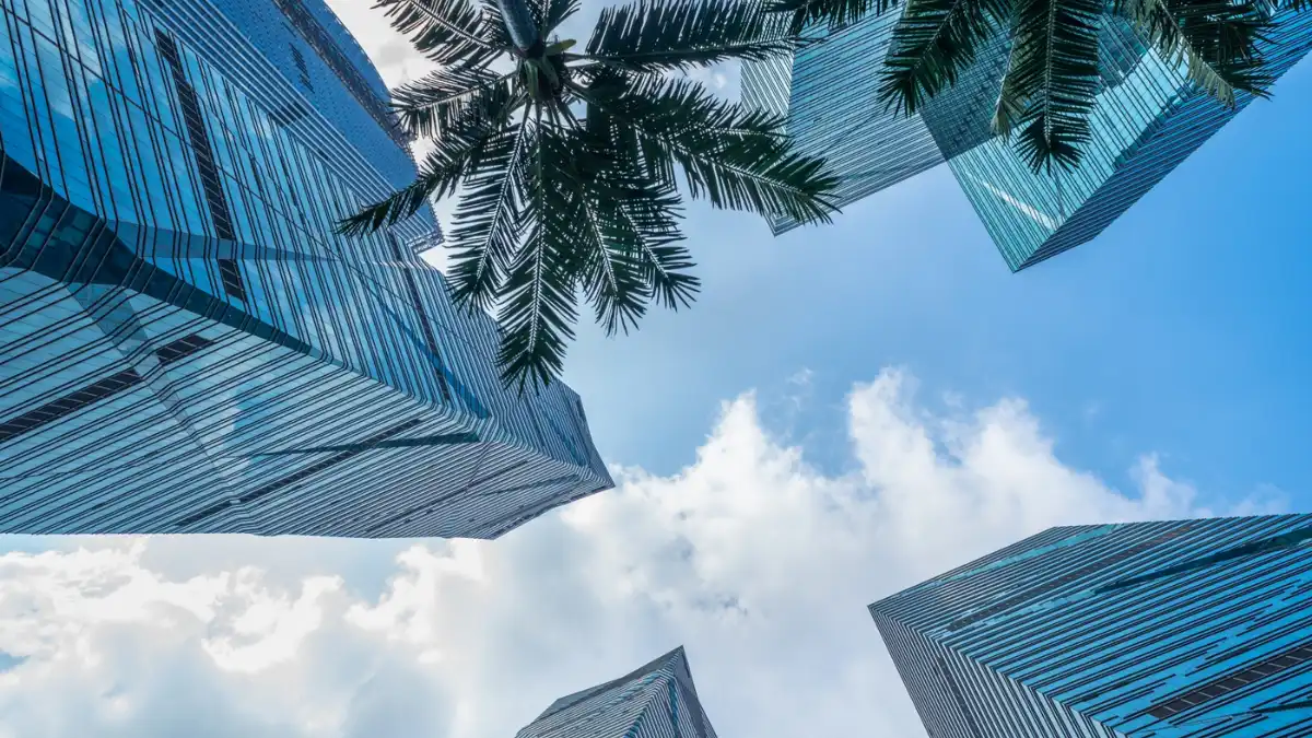 images - Times of Dubai Dubai property tax rules how it works Times of dubai