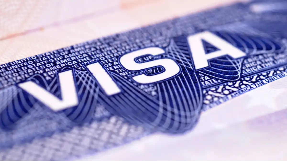 Dubai Employment Visa: Here’s What You Need To Know