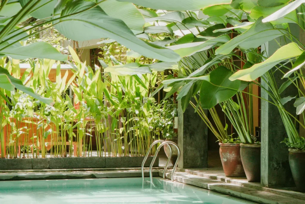 30 Fully Redeemable Pool Passes In Dubai To Put On Your Radar