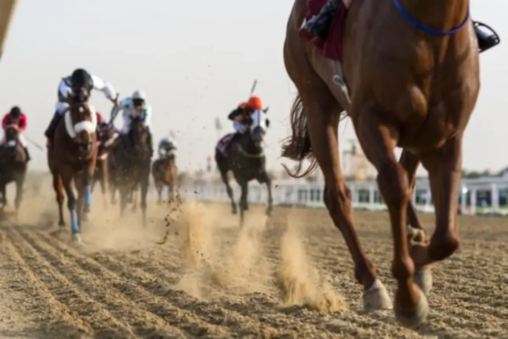 The Dubai World Cup Turns 30, Tickets Starting from Dh40
