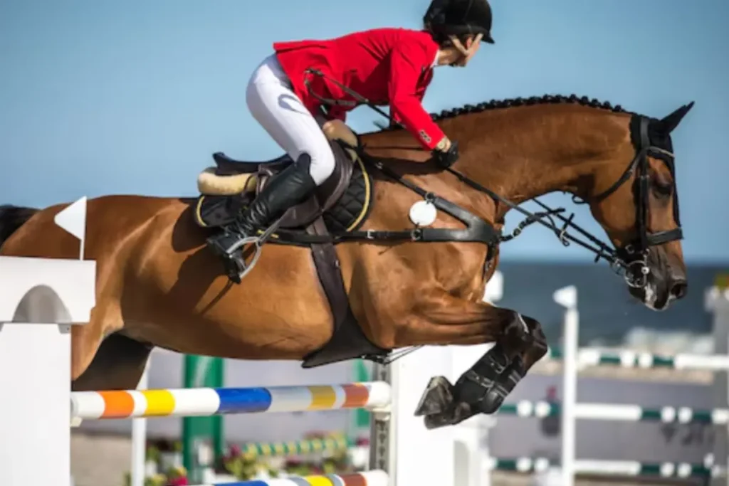 Dubai World Cup 2026 Explodes with Tickets Flying Off the Shelves 