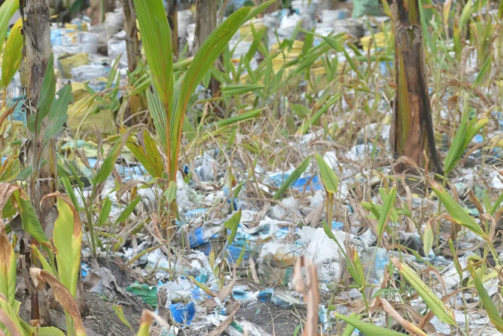 7 Major Changes in December in the UAE That Will Define the Future