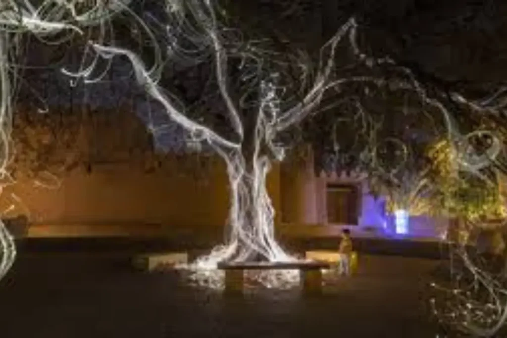 Manar Abu Dhabi 2025 Guides the Capital's Winter