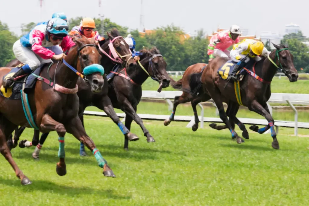 The Dubai World Cup Turns 30, Tickets Starting from Dh40
