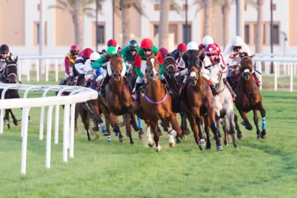 Dubai World Cup 2026 Explodes with Tickets Flying Off the Shelves 