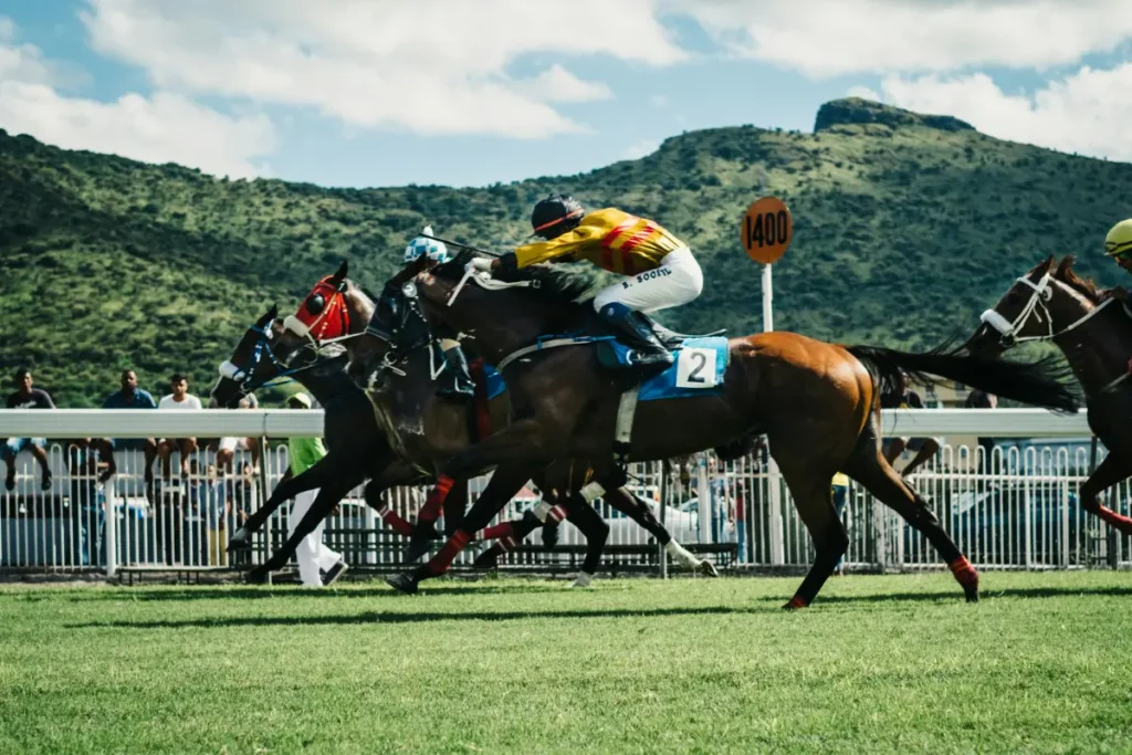 The Ultimate Thrill of Dubai World Cup 2026 Awaits at Meydan 30 Years of Glory
