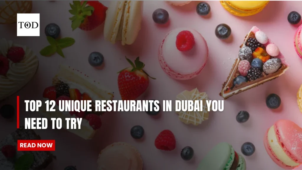 Top 12 Unique Restaurants in Dubai You Need to Try