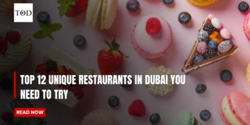 Top 12 Unique Restaurants in Dubai You Need to Try