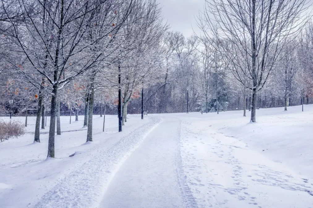 Why dubai weather in december is the best time for tourists and outdoor activities times of dubai