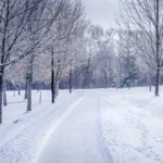 Why Dubai Weather in December Is the Best Time for Tourists and Outdoor Activities