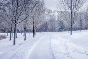 Why Dubai Weather in December Is the Best Time for Tourists and Outdoor Activities