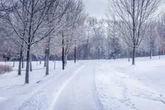 Why Dubai Weather in December Is the Best Time for Tourists and Outdoor Activities