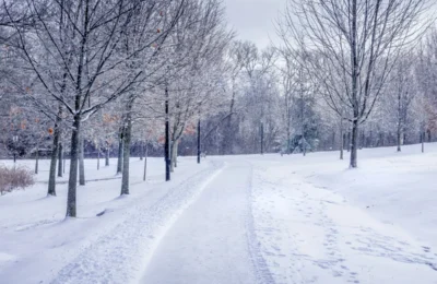 Why Dubai Weather in December Is the Best Time for Tourists and Outdoor Activities